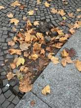 Bild zu gemeldetem Anliegen vom *2025-11-20 22:21:17