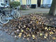 Bild zu gemeldetem Anliegen vom *2025-11-24 06:31:56