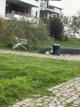 Bild zu gemeldetem Anliegen vom *2025-11-08 09:27:22