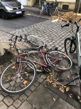 Bild zu gemeldetem Anliegen vom *2025-11-19 09:27:53