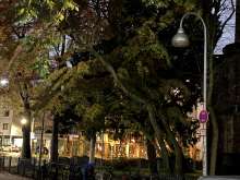 Bild zu gemeldetem Anliegen vom 2025-11-05 12:27:38