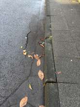 Bild zu gemeldetem Anliegen vom *2025-11-11 15:27:37