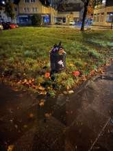 Bild zu gemeldetem Anliegen vom *2025-11-19 18:30:05