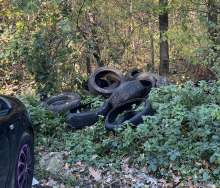 Bild zu gemeldetem Anliegen vom *2025-11-07 12:27:22