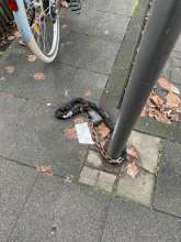 Bild zu gemeldetem Anliegen vom *2025-11-29 12:32:06