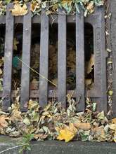 Bild zu gemeldetem Anliegen vom *2025-11-09 17:10:08