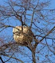 Bild zu gemeldetem Anliegen vom *2025-11-11 11:51:23