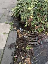 Bild zu gemeldetem Anliegen vom *2025-11-03 11:37:42