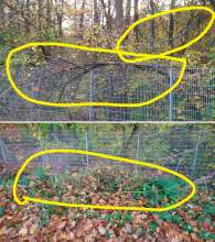 Bild zu gemeldetem Anliegen vom *2025-11-07 09:19:08