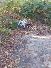 Bild zu gemeldetem Anliegen vom *2025-11-08 09:27:22