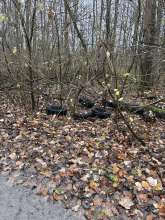 Bild zu gemeldetem Anliegen vom *2025-11-28 12:29:45