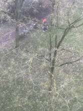 Bild zu gemeldetem Anliegen vom *2025-11-29 12:32:06