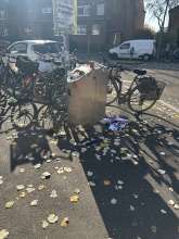 Bild zu gemeldetem Anliegen vom *2025-11-08 11:48:04