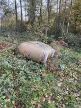 Bild zu gemeldetem Anliegen vom *2025-11-12 13:01:05