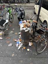 Bild zu gemeldetem Anliegen vom *2025-11-17 09:28:13