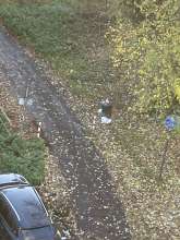 Bild zu gemeldetem Anliegen vom *2025-11-17 15:34:49