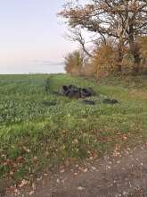 Bild zu gemeldetem Anliegen vom *2025-11-17 15:34:49