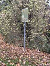 Bild zu gemeldetem Anliegen vom *2025-11-20 09:30:20