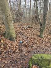 Bild zu gemeldetem Anliegen vom *2025-12-21 12:29:06