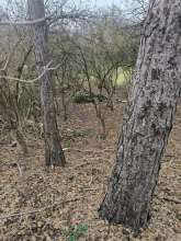 Bild zu gemeldetem Anliegen vom *2025-12-29 12:29:52