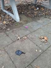 Bild zu gemeldetem Anliegen vom *2025-12-14 09:28:41