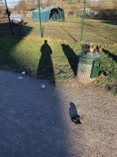 Bild zu gemeldetem Anliegen vom *2025-12-24 12:29:53