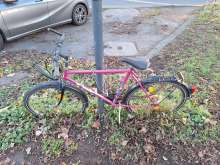 Von Natur bereits teilweise zurückeroberte Fahrradleiche 