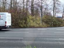 Bild zu gemeldetem Anliegen vom *2025-12-18 18:29:44