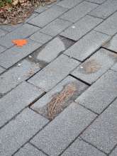 Bild zu gemeldetem Anliegen vom *2025-11-29 21:29:33