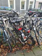 Bild zu gemeldetem Anliegen vom *2025-12-05 10:19:55