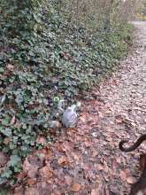 Bild zu gemeldetem Anliegen vom *2025-12-11 21:28:24