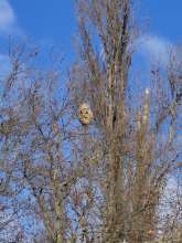 Bild zu gemeldetem Anliegen vom *2025-12-24 09:31:26