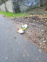 Bild zu gemeldetem Anliegen vom *2025-12-25 15:27:26