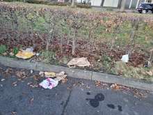  vom *2025-12-26 17:50:22