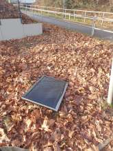 Bild zu gemeldetem Anliegen vom *2025-12-30 13:37:02