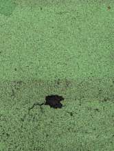 Bild zu gemeldetem Anliegen vom *2025-12-20 12:36:54