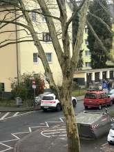 Bild zu gemeldetem Anliegen vom *2025-12-20 09:27:48