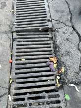 Bild zu gemeldetem Anliegen vom *2025-12-19 11:36:42