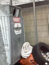 Bild zu gemeldetem Anliegen vom *2025-12-09 09:27:49