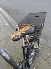 Bild zu gemeldetem Anliegen vom *2025-12-27 09:29:23