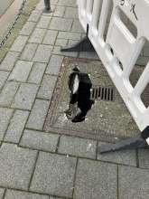 Bild zu gemeldetem Anliegen vom *2025-12-18 09:32:31