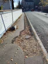 Bild zu gemeldetem Anliegen vom *2025-12-01 09:33:06