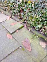 Bild zu gemeldetem Anliegen vom *2025-12-19 09:29:10