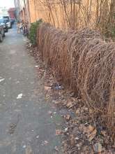 Bild zu gemeldetem Anliegen vom *2025-12-27 15:27:42