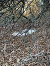 Bild zu gemeldetem Anliegen vom *2025-12-27 09:29:23