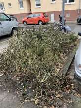 Bild zu gemeldetem Anliegen vom *2025-12-01 20:15:27