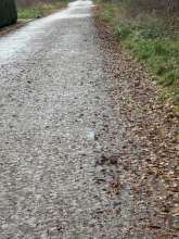 Bild zu gemeldetem Anliegen vom *2025-12-04 10:34:14