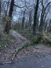 Bild zu gemeldetem Anliegen vom *2025-12-07 15:27:56