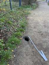 Große Öffnung in Bürgersteig (Tierbau?)