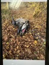 Bild zu gemeldetem Anliegen vom *2025-12-01 18:35:58